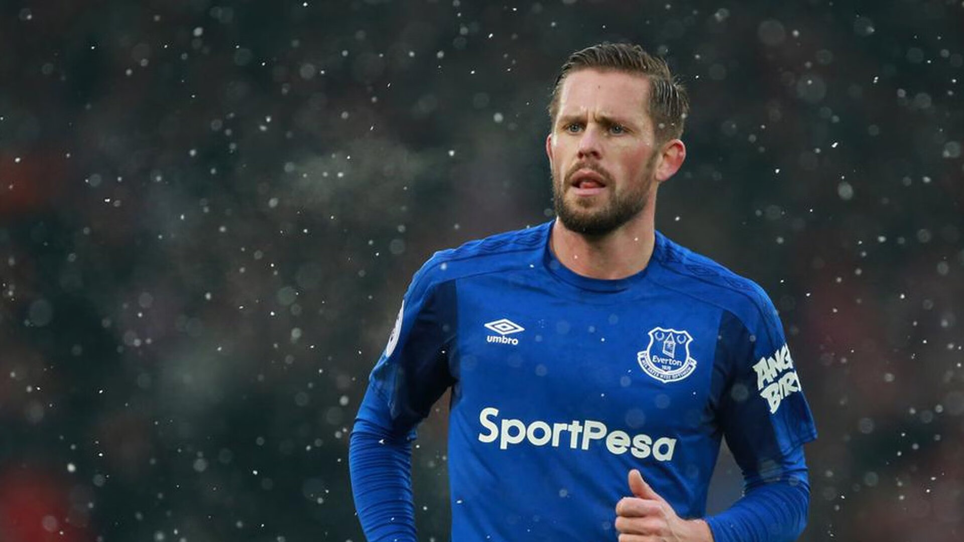 蒙特卡洛奇迹，蒂姆统治全场，戴维斯杯史诗翻盘背后的王者逻辑